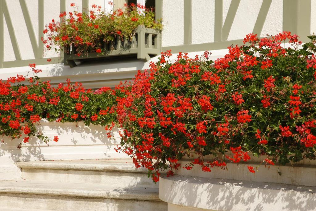 مبيت وإفطار دوفييل Manoir De Benerville المظهر الخارجي الصورة