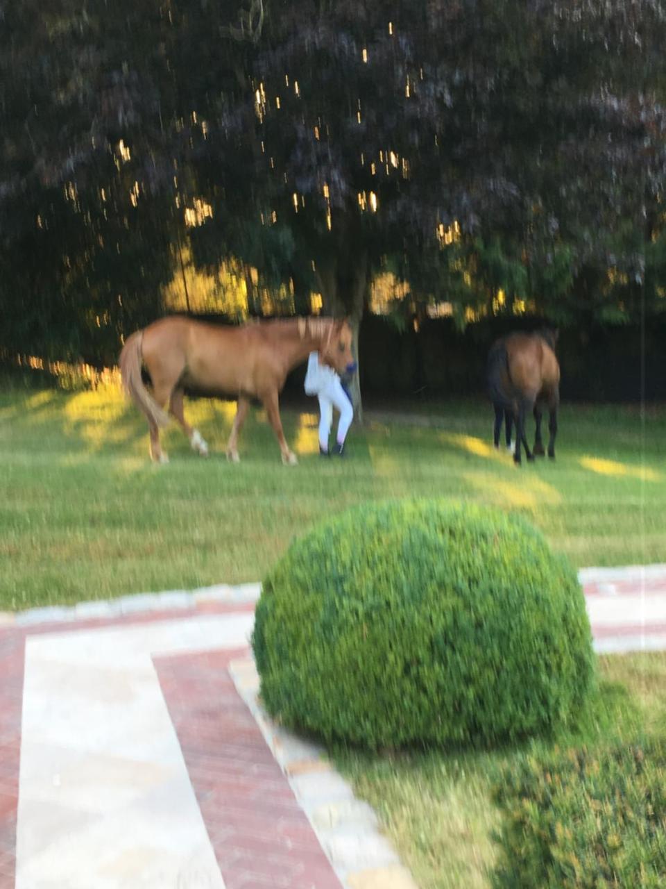 مبيت وإفطار دوفييل Manoir De Benerville المظهر الخارجي الصورة